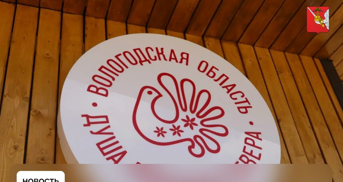В лесах Вологодчины обустроили более 900 мест отдыха