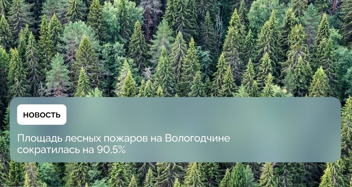 Вологодчина сократила площадь лесных пожаров на 90,5% и стала второй в стране по восстановлению леса