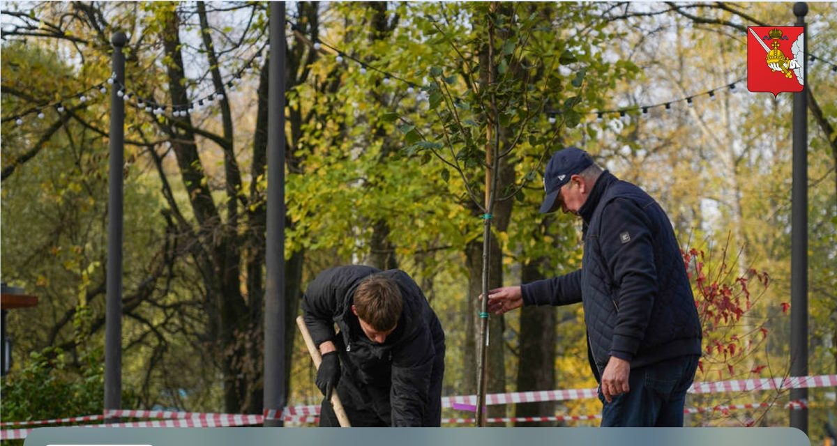 В Кремлевском саду Вологды посадят около 130 деревьев, а вдоль проспекта Победы появится кленовая аллея